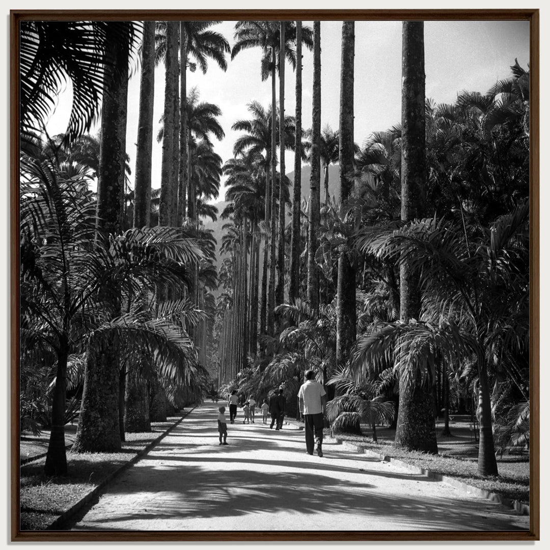 Rio de Janeiro Zoo, 1957