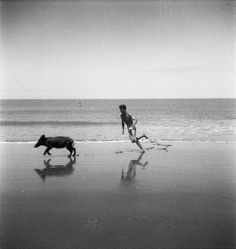 Boy on beach, 1962.