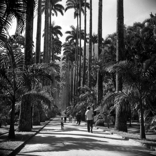 Rio de Janeiro Zoo, 1957